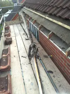 rafter feet exposed
